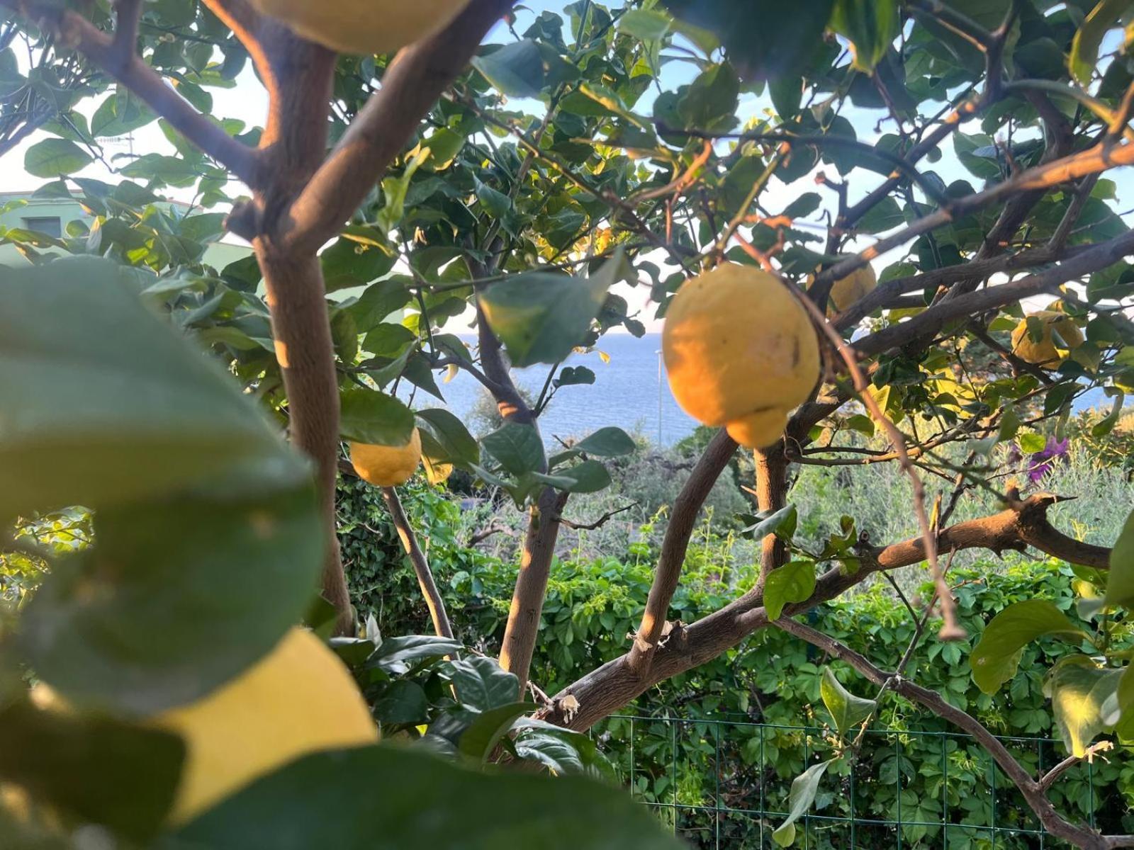 La Casa Dei Ciocio Villa Cefalu Bagian luar foto