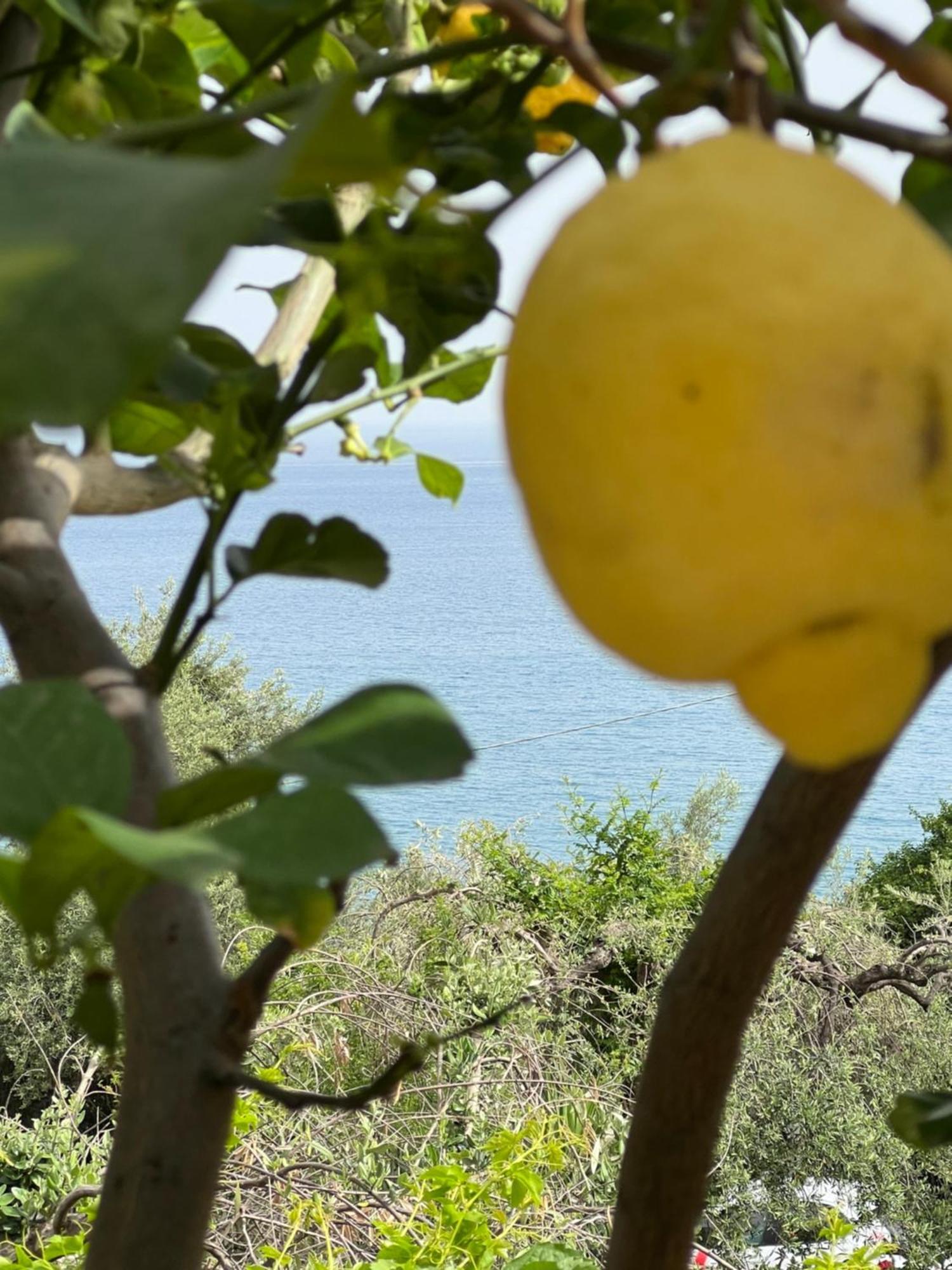 La Casa Dei Ciocio Villa Cefalu Bagian luar foto